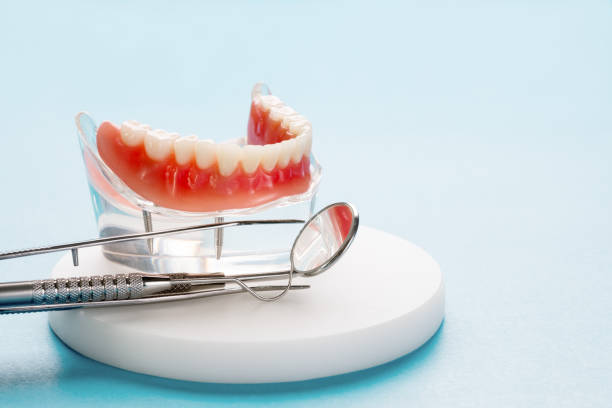 Best Preventive Dentistry  in Rowlett, TX